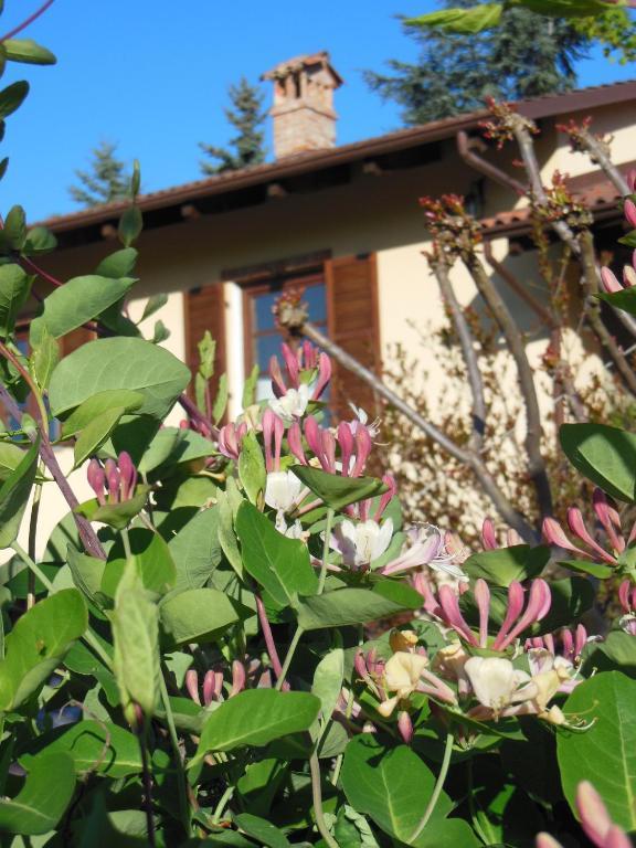 Agriturismo Affittacamere Barbarossa Дольяни Экстерьер фото