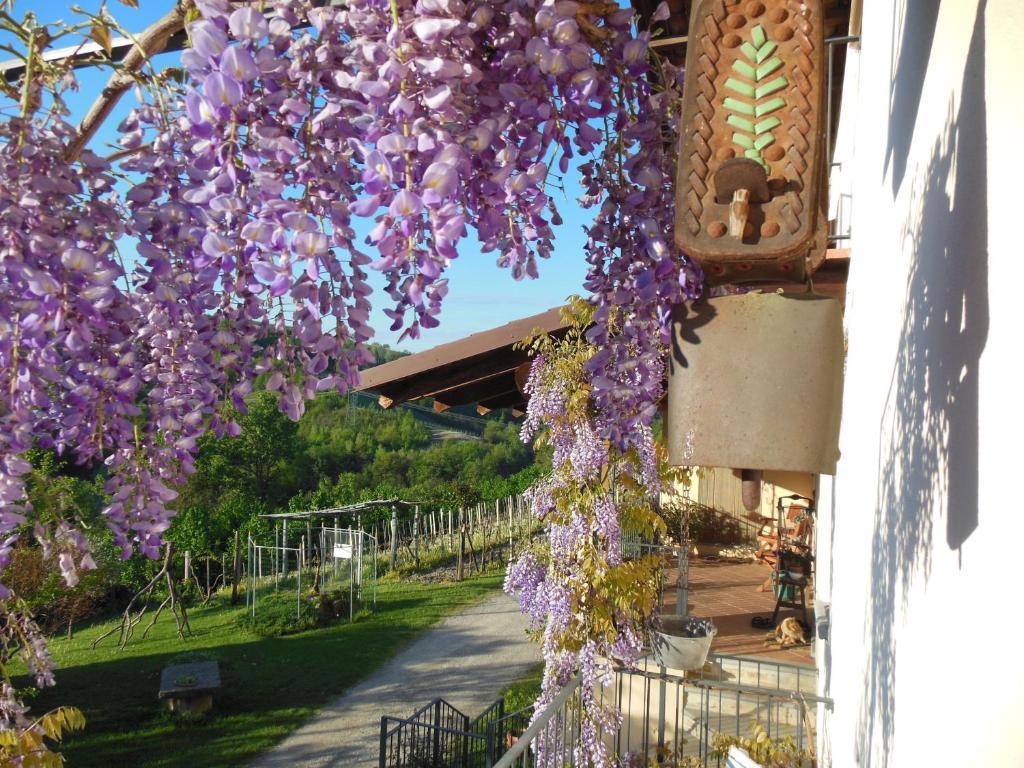 Agriturismo Affittacamere Barbarossa Дольяни Экстерьер фото